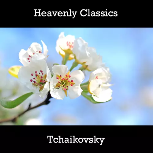 Tchaikovsky - Heavenly Classics Tchaikovsky