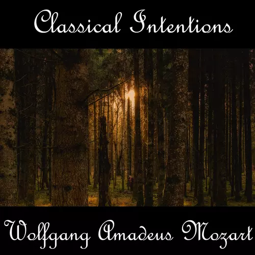 Wolfgang Amadeus Mozart - Instrumental Intentions: Wolfgang Amadeus Mozart