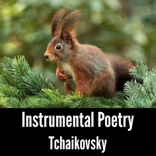 Tchaikovsky - Instrumental Poetry: Tchaikovsky