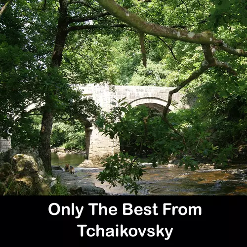 Tchaikovsky - Only The Best From Tchaikovsky