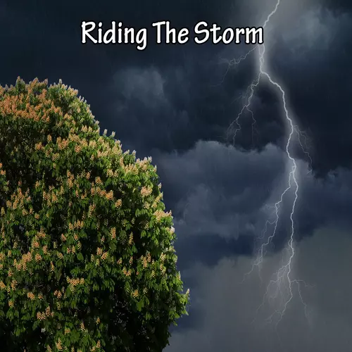 Thunderstorm|Thunderstorm Sleep|Thunderstorms - Riding The Storm