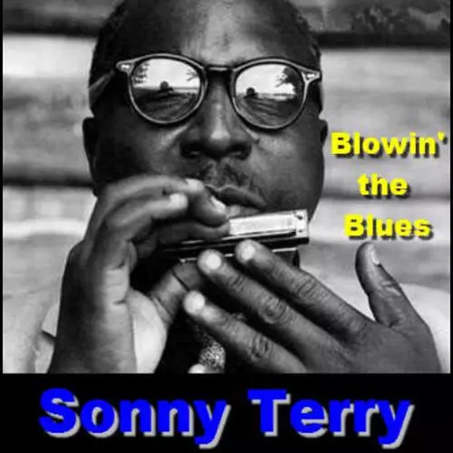 Sonny Terry - Blowing The Blues