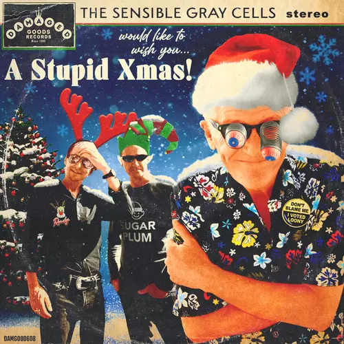 A Stupid Xmas