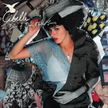 Cibelle - The Shine Of Dried Electric Leaves cover