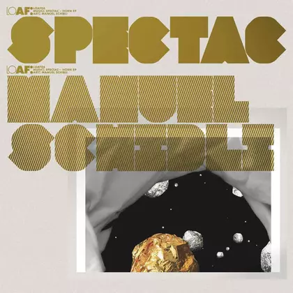 Spectac - Horn cover
