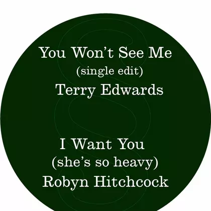 Terry Edwards, Robyn Hitchcock - You Won't See Me / I Want You (she's so heavy) cover
