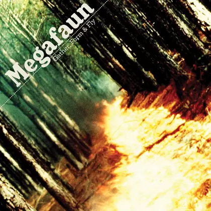 Megafaun - Gather, Form & Fly cover