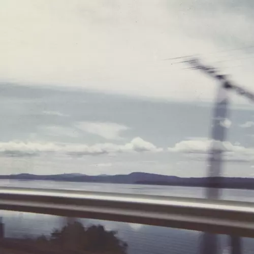 Discourses of the Withered