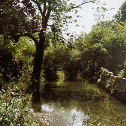 The Treecreepers - At The Mill cover