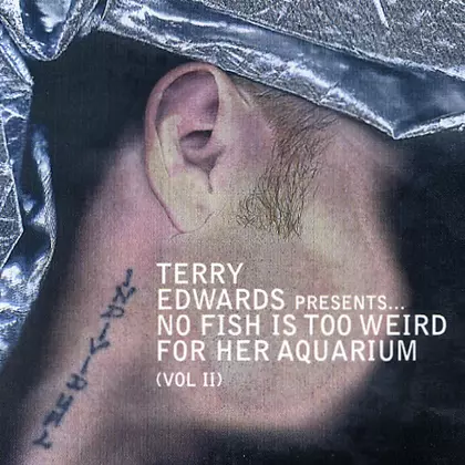 Various Artists - Ontogeny (No Fish Is Too Weird For Her Aquarium Vol. II) cover