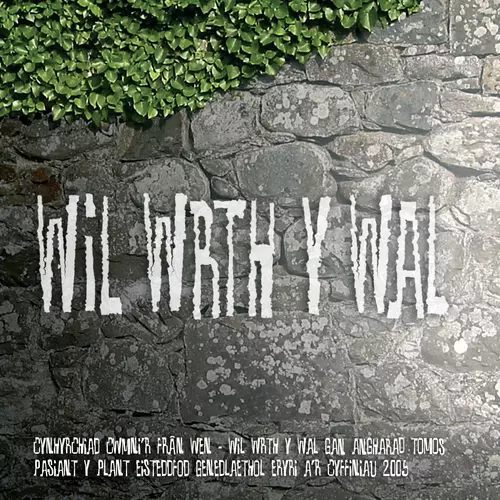 Wil Wrth Y Wal