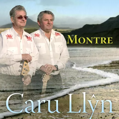 Caru Llyn