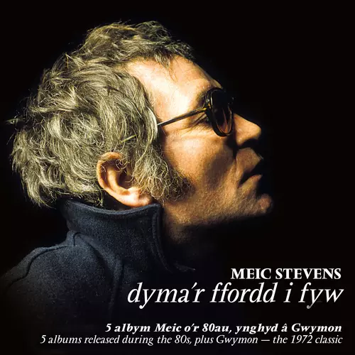 Disgwyl Rhywbeth Gwell I Ddod - 2