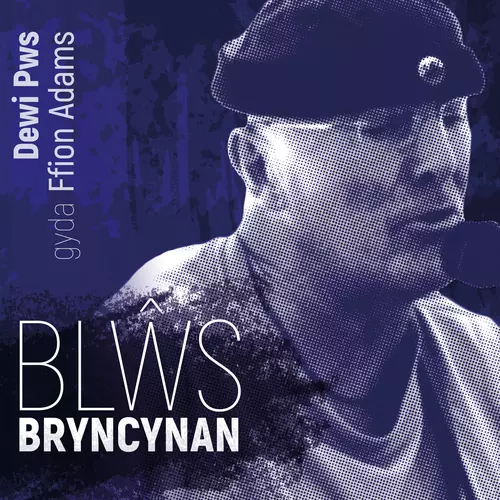 Blŵs Bryncynan