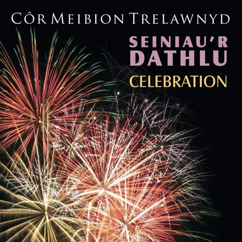 Seiniau'r Dathlu / Celebration