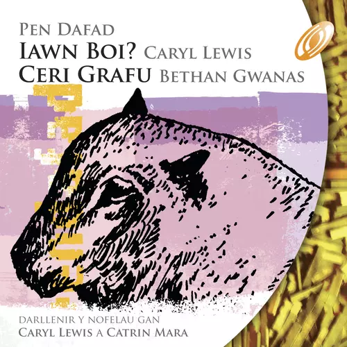 Cyfres Pen Dafad 2: Iawn Boi / Ceri Grafu