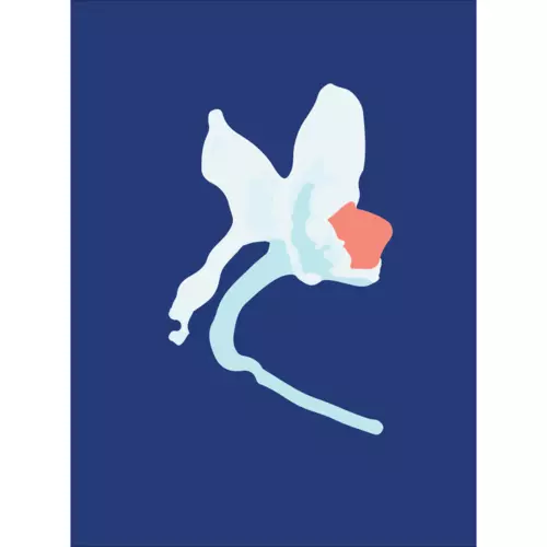 Art Print / Juno-Ep Opus1