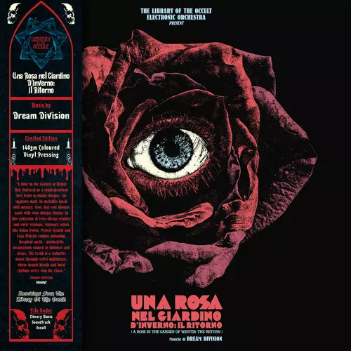 Una Rosa nel Giardino d’Inverno: Il Ritorno