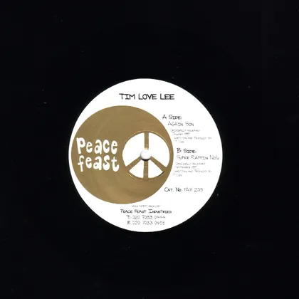 Tim 'Love' Lee - Again Son cover