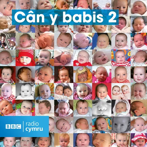 Can y Babis 2