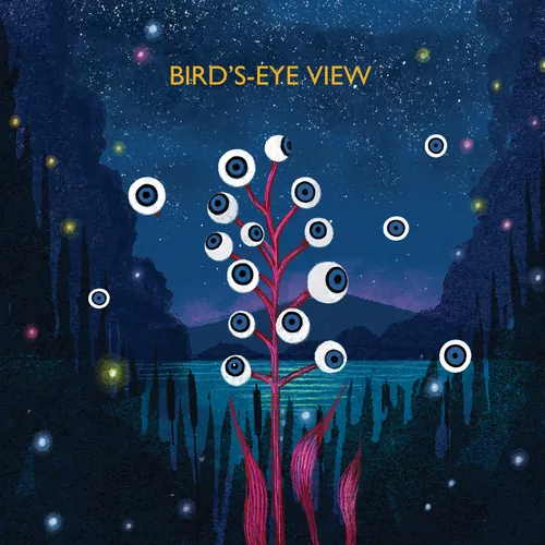 Bird’s-Eye View