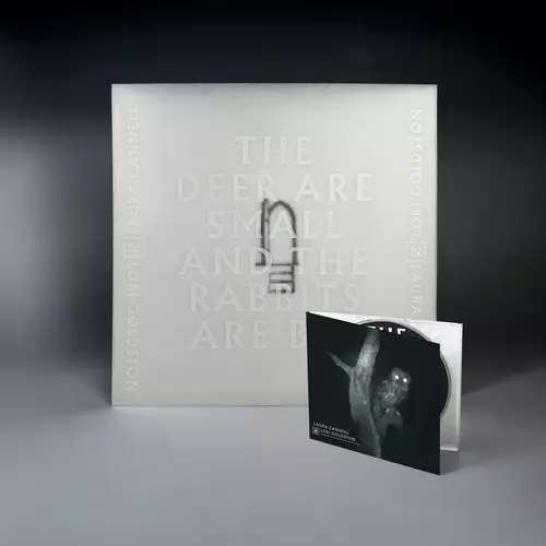 The Deer Are Small And The Rabbits Are Big