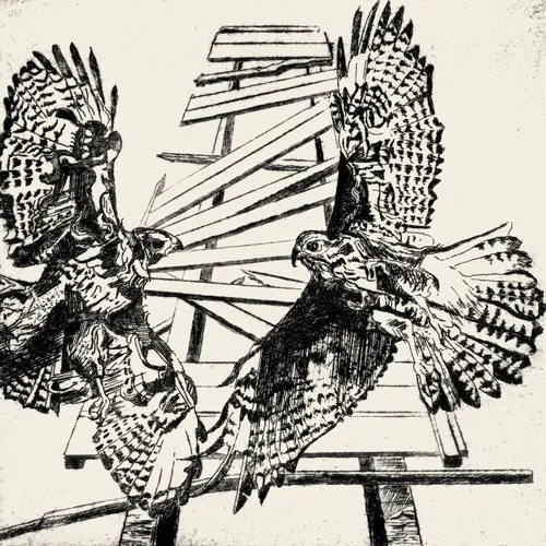 Where Two Hawks Fly
