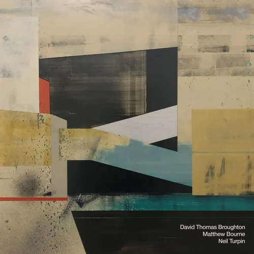 David Thomas Broughton - Heavy Thoughts
