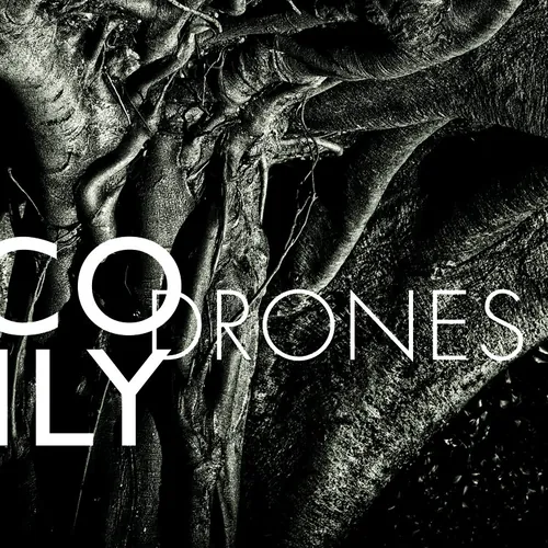 Drones