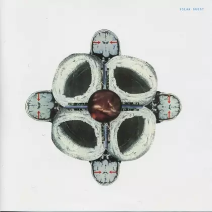 Solar Quest - Orgship cover