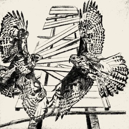 Where Two Hawks Fly