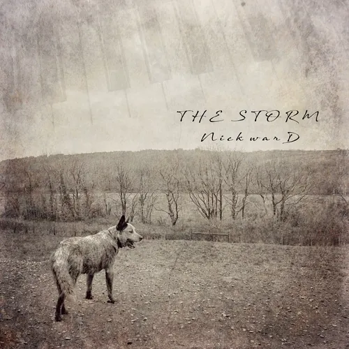 Nick Ward - The Storm