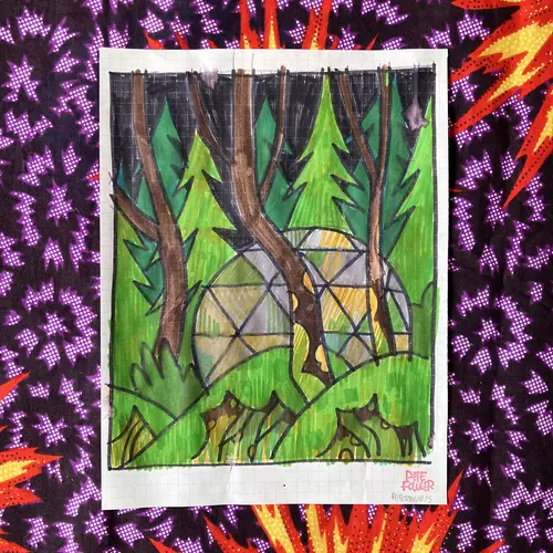 Geodesic Dome Forest drawing