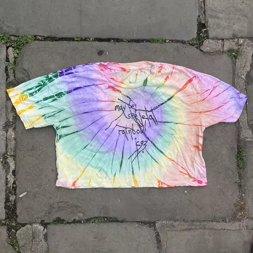 Rainbow maybe skeletal rainbow crop-top T-Shirt