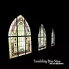 Trembling Blue Stars - The Last Holy Writer CD cover