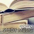 Relaxing Study Music - Background Homework Songs for the Summer Break
