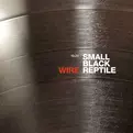 Small Black Reptile