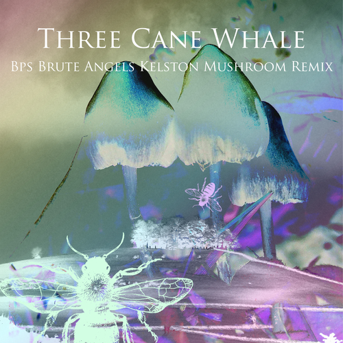 Three Cane Whale - Brute Angels