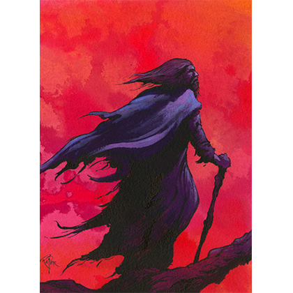 Vision Of The Hawk: Seeker Art Edition