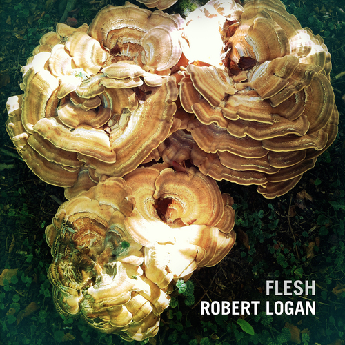 Robert Logan - Flesh
