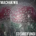 Cosmic Fungi