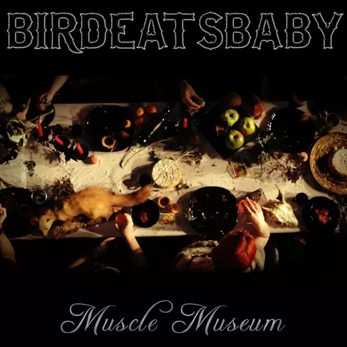 Birdeatsbaby - Muscle Museum