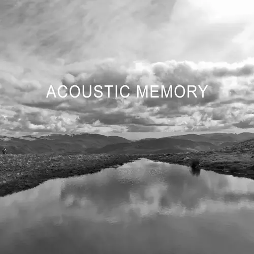 Dan Michaelson and The Coastguards - Acoustic Memory