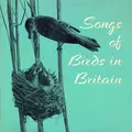 Songs of Birds in Britain