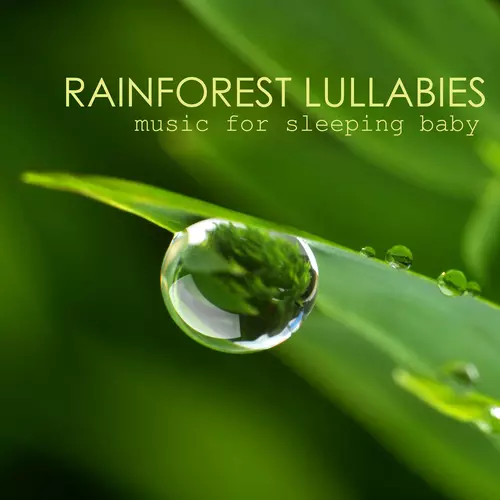 Rainforest Music Lullabies Ensemble - Rainforest Lullabies and Music for Sleeping Baby - Sounds and Songs for Babies, Soothing Calm Music and Sounds of Nature to Help Your Baby Sleep