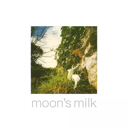 Moon's Milk: Images By Jhonn Balance 