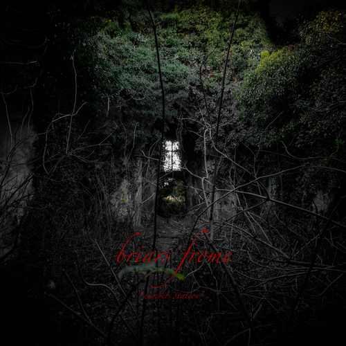 View full size cover Briars Frome - Numbers Station