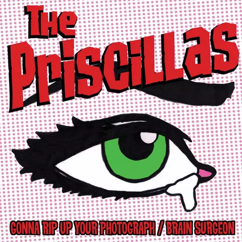 The Priscillas - Gonna Rip Up Your Photograph