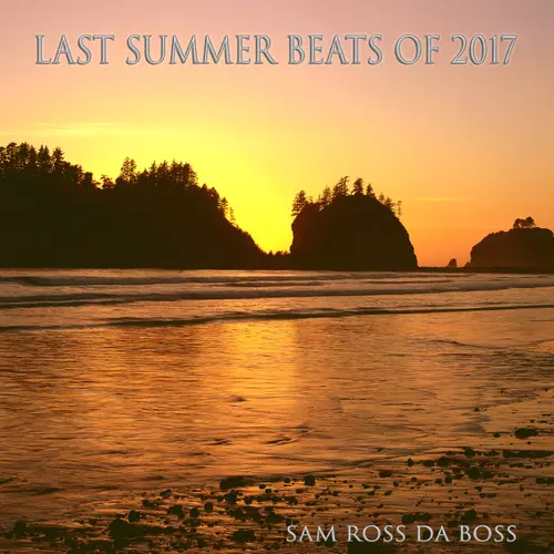 Sam Ross Da Boss - Last Summer Beats of 2017