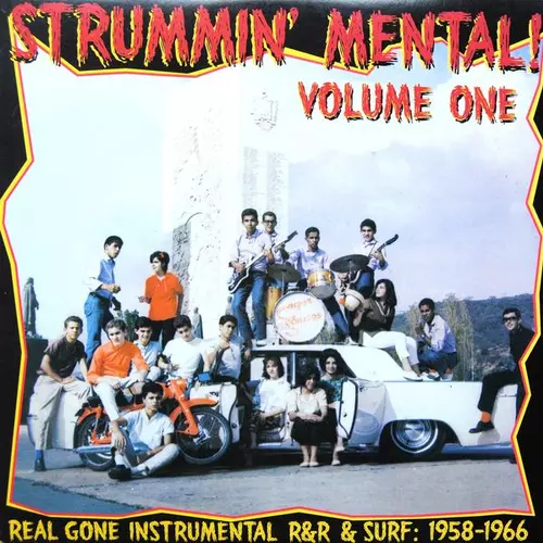 Various Artists - V/A STRUMMIN' MENTAL vol.1